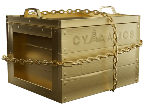 Mystery Crate 2025